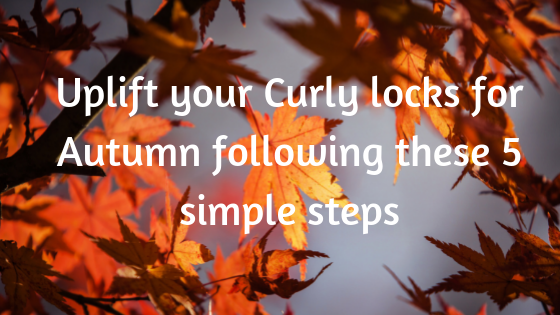 Uplift your Curly locks for Autumn following these 5 simple steps