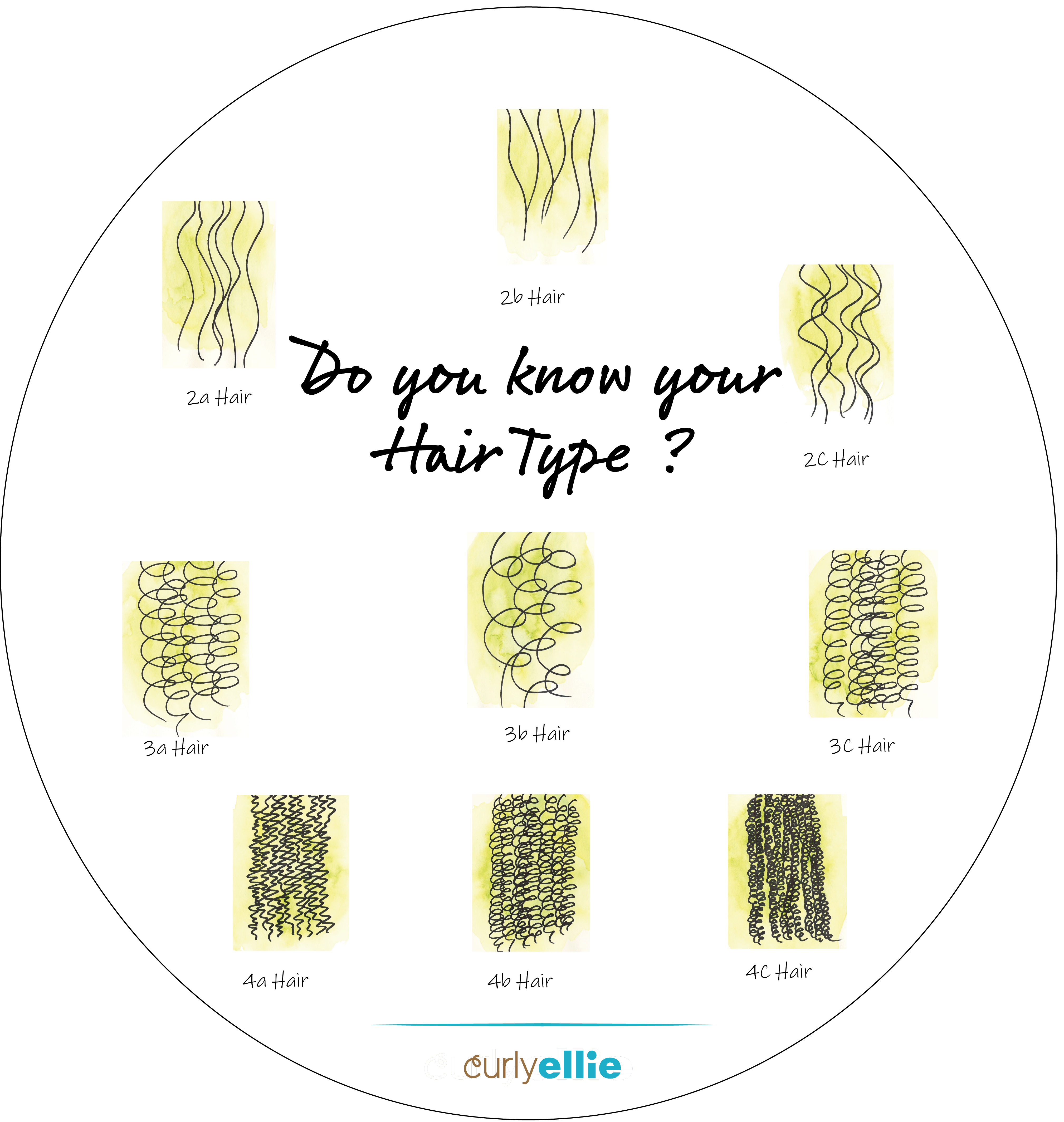 CurlyEllie Guide to Curly Hair Types