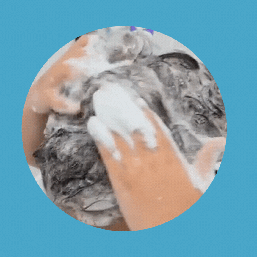Is Shampoo Really Necessary? Let’s Talk About It!